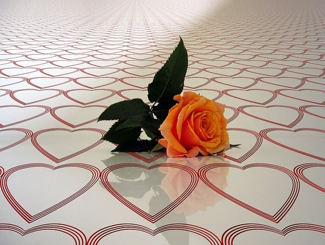 Feng Shui: Gratitude.