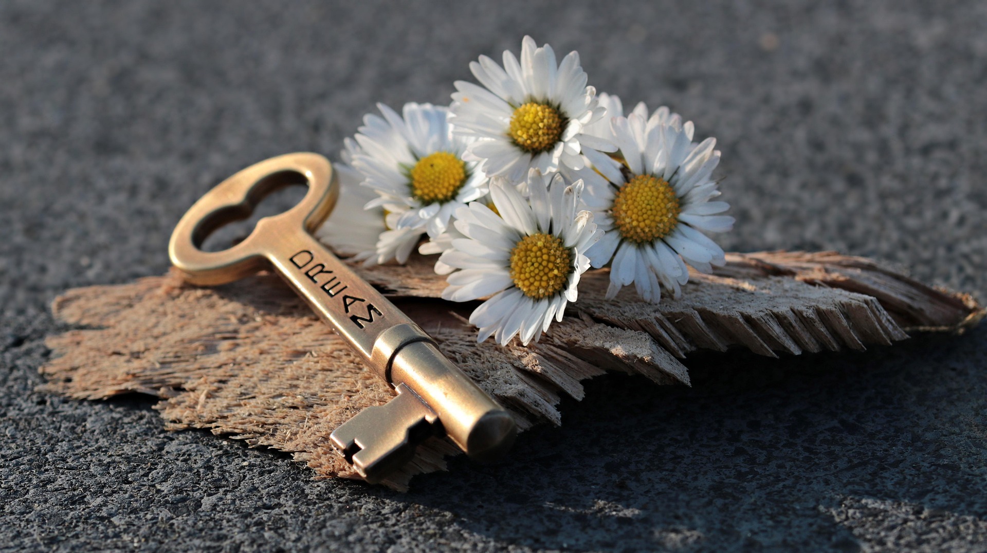 Wisdom: Cherish.